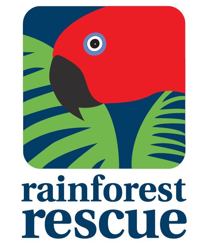 collab with Rainforest rescue